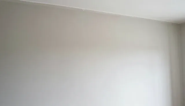防腐剂使用与维护的常见误区及处理方向